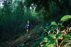 BIB: 
                            <button type="button" onclick="openModal(28124310)" class="btn btn-primary btn-sm float-right btn-popup" data-toggle="modal" data-target=".modal-high-quality">
                        <i class="fas fa-shopping-cart"></i> Add to Cart
                    </button>
                                            <button type="button" onclick="isThisMe(28124310, true)" class="btn btn-success btn-sm float-right btn-popup btn-isme hidden" data-toggle="tooltip" data-placement="bottom" title="นี่คือรูปของคุณใช่ไหม คลิกที่นี่เพื่อเอาเข้าอัลบั้ม">
                        <i class="fas fa-plus"></i> Add to album
                    </button>
                    <button type="button" onclick="isThisMe(28124310, false)" class="btn btn-warning btn-sm float-right btn-popup btn-isnotme hidden">
                        <i class="fas fa-ban"></i> Remove from album
                    </button>